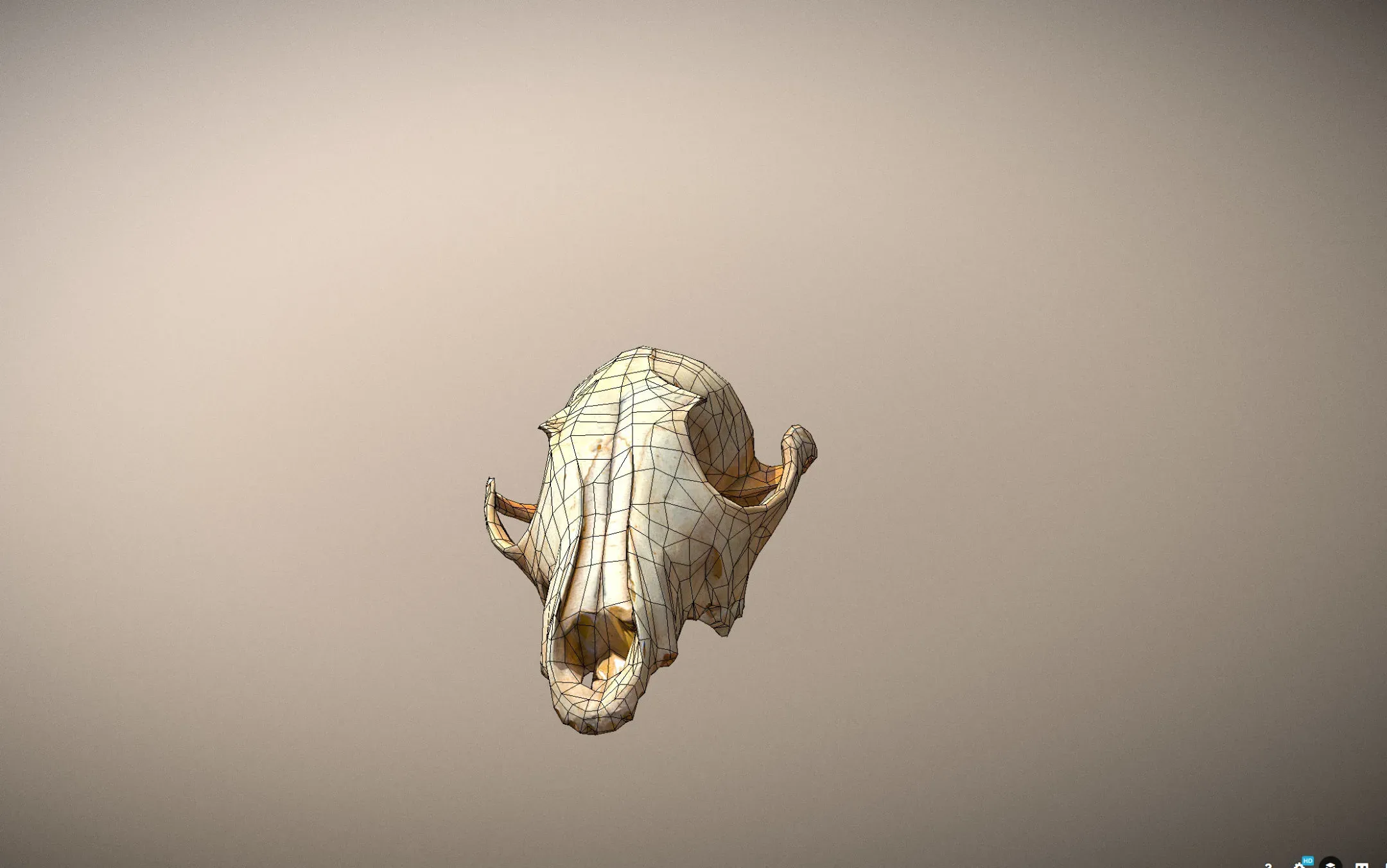 small skull