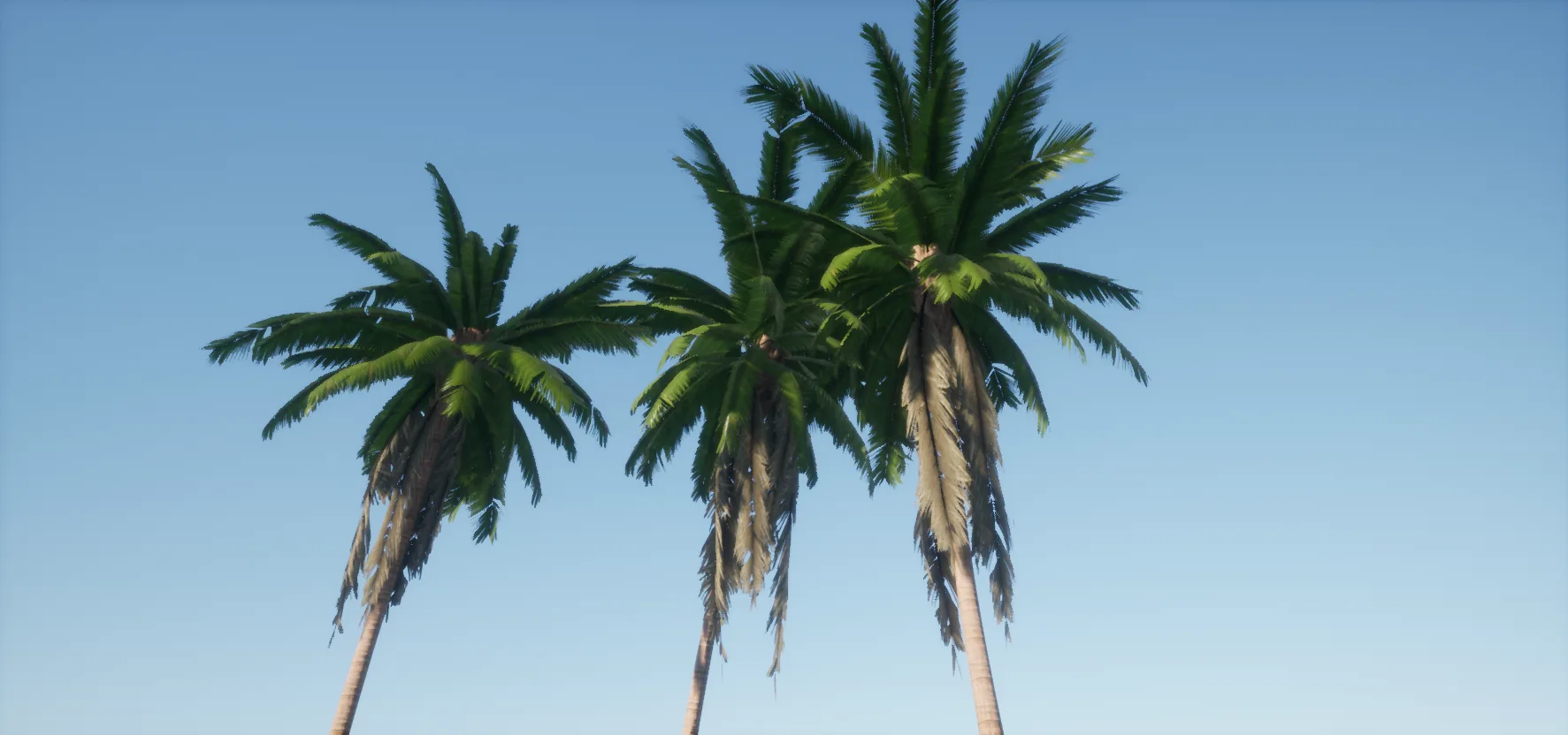 Coconut Palms for Games FlippedNormals