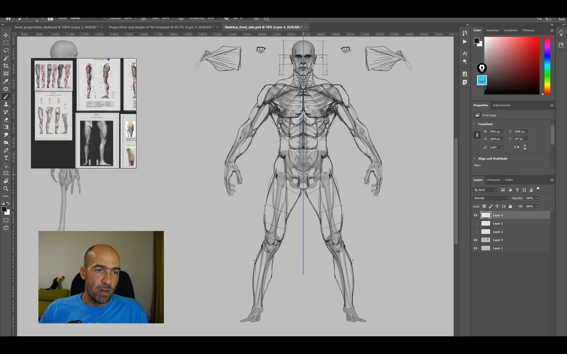 Super Human Anatomy for Artists Tutorial