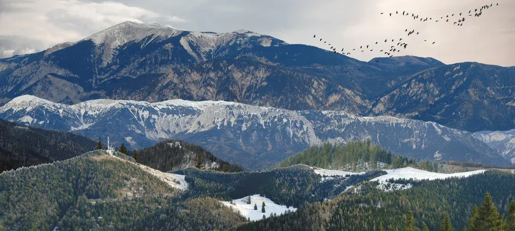 Backdrop Mountains + Gift