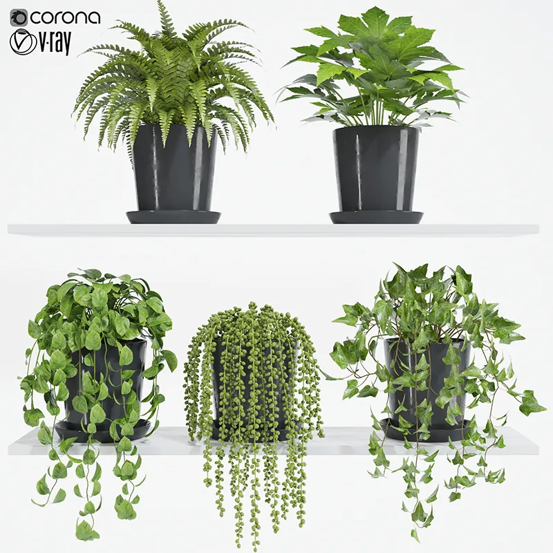 plant set 05