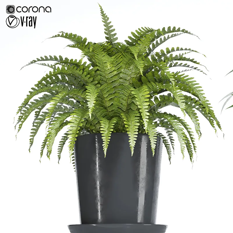 plant set 05