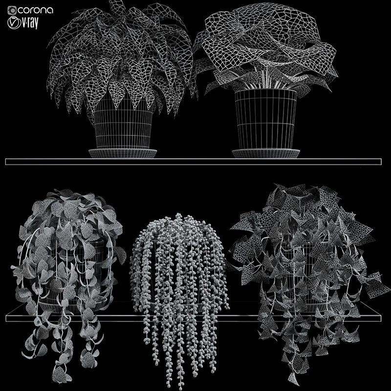 plant set 05
