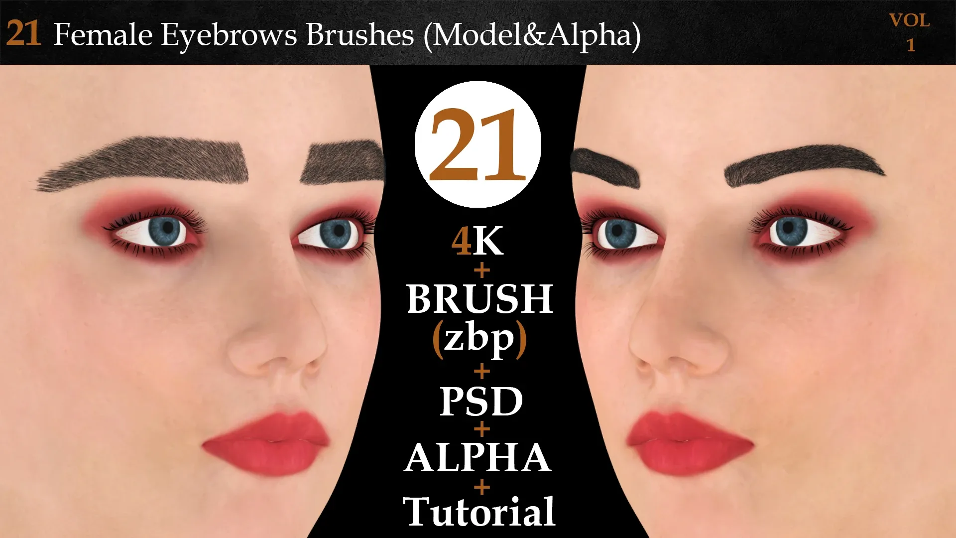 21 Female Eyebrows Brushes (Model&Alpha)-vol 1