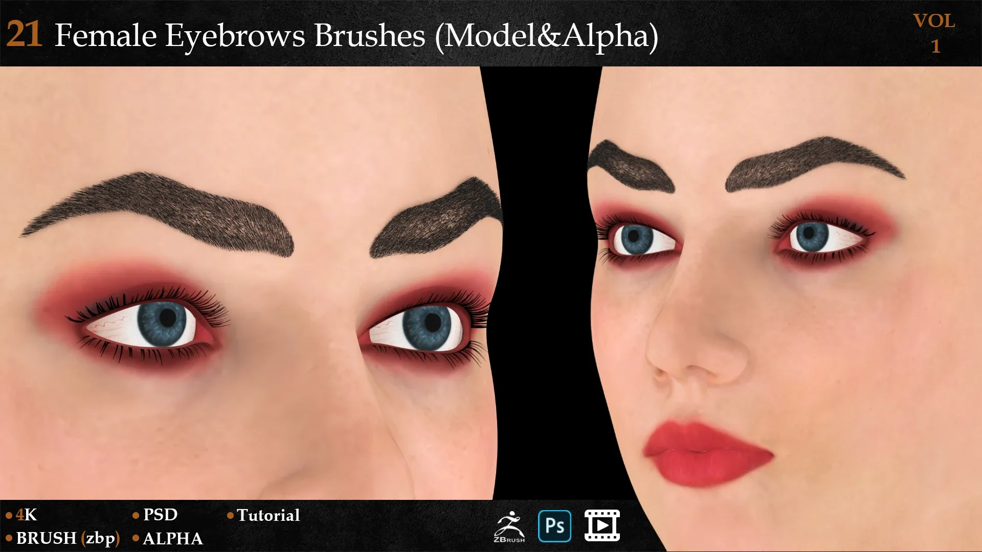 21 Female Eyebrows Brushes (Model&Alpha)-vol 1