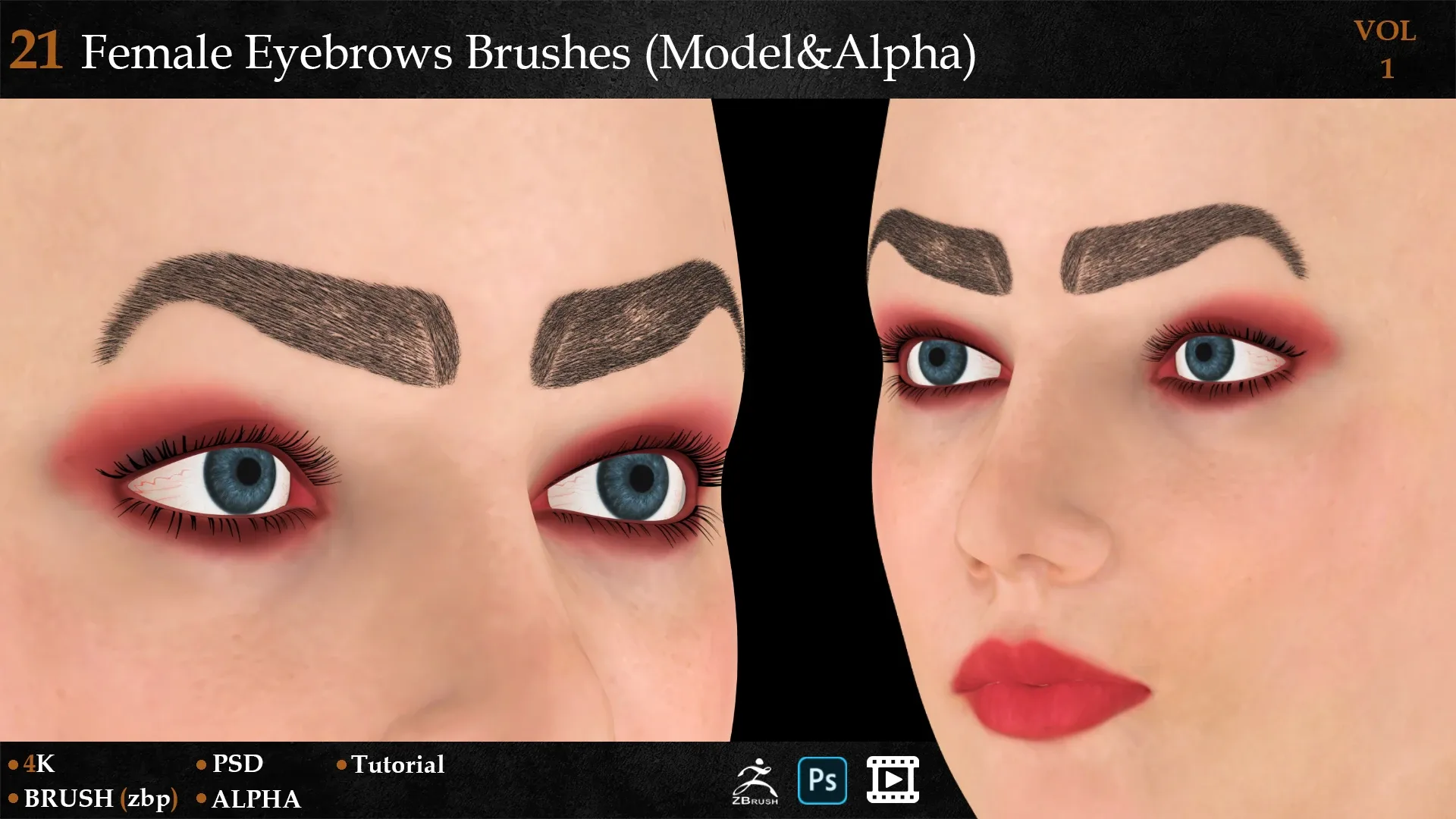 21 Female Eyebrows Brushes (Model&Alpha)-vol 1