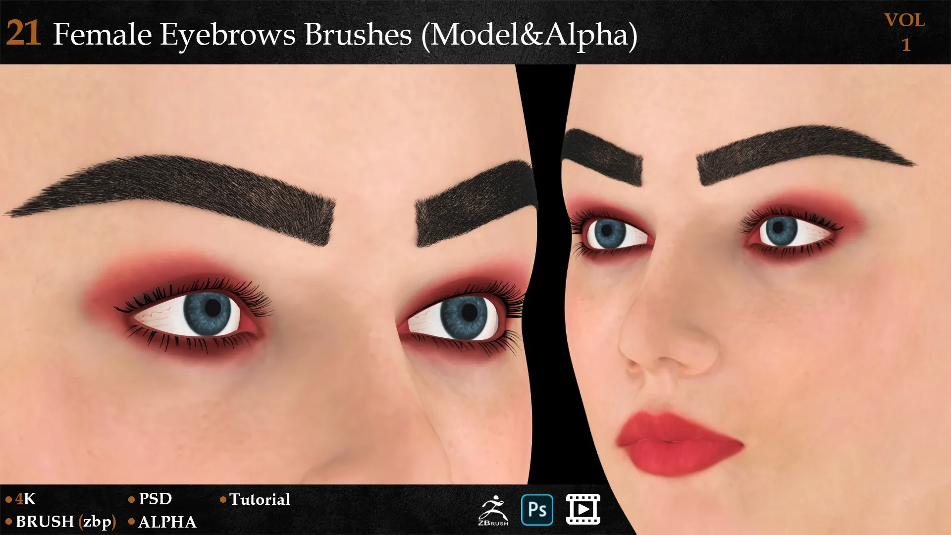 21 Female Eyebrows Brushes (Model&Alpha)-vol 1