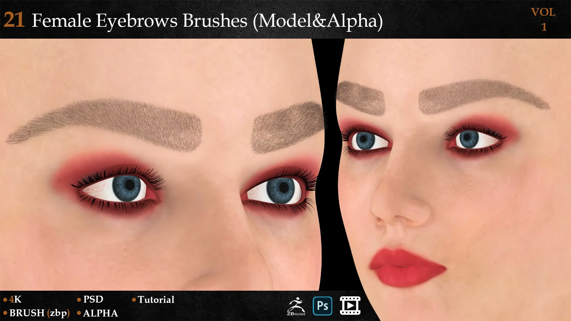 21 Female Eyebrows Brushes (Model&Alpha)-vol 1