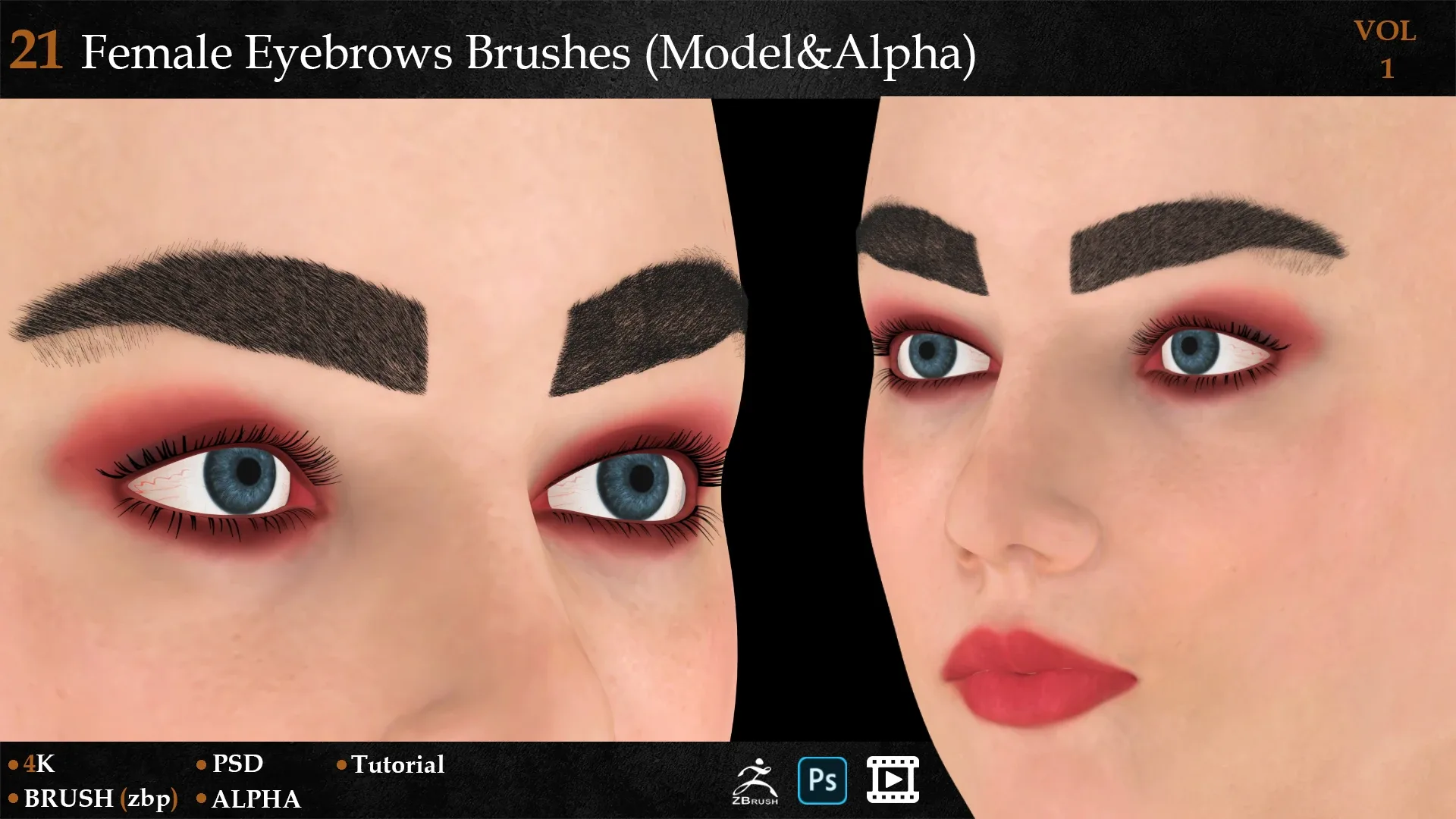 21 Female Eyebrows Brushes (Model&Alpha)-vol 1