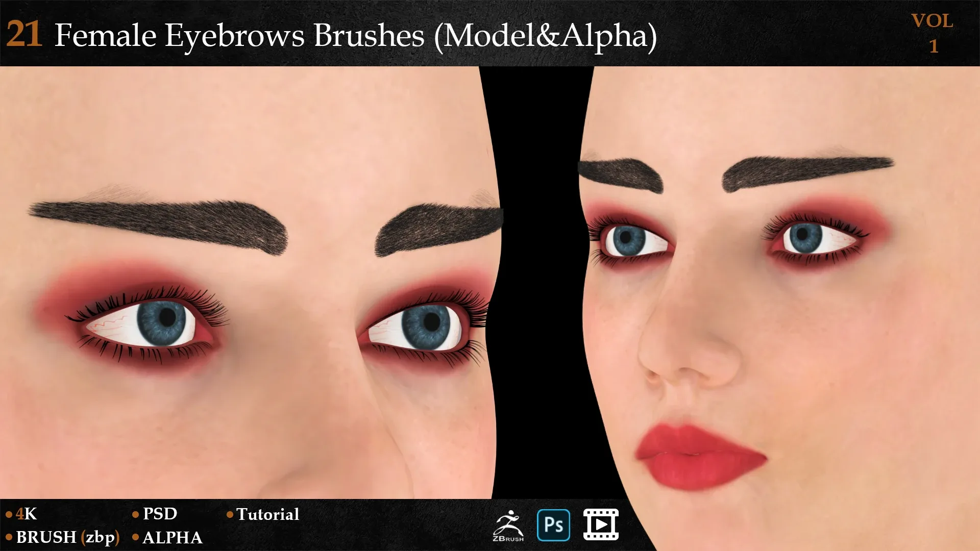 21 Female Eyebrows Brushes (Model&Alpha)-vol 1