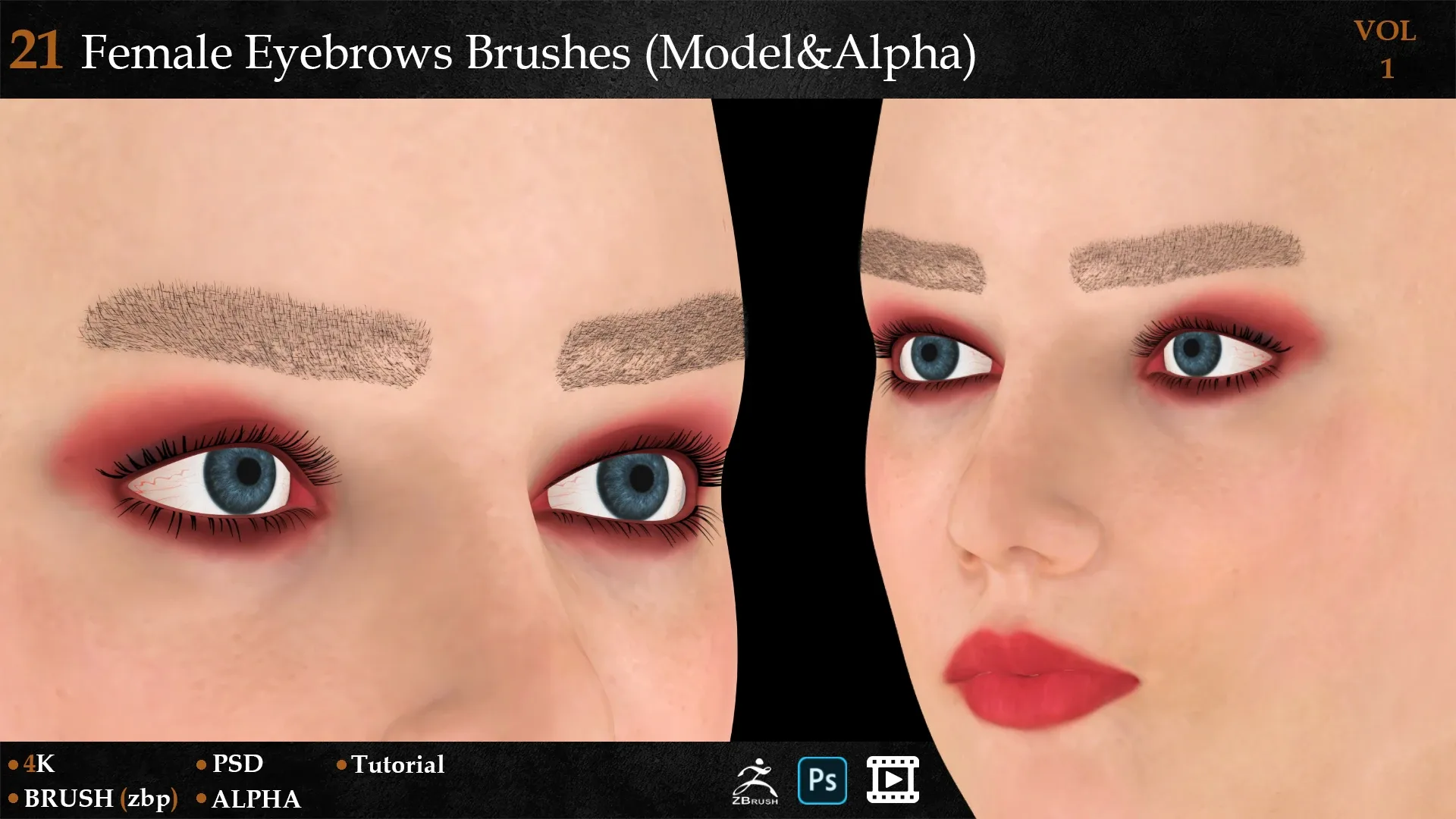 21 Female Eyebrows Brushes (Model&Alpha)-vol 1