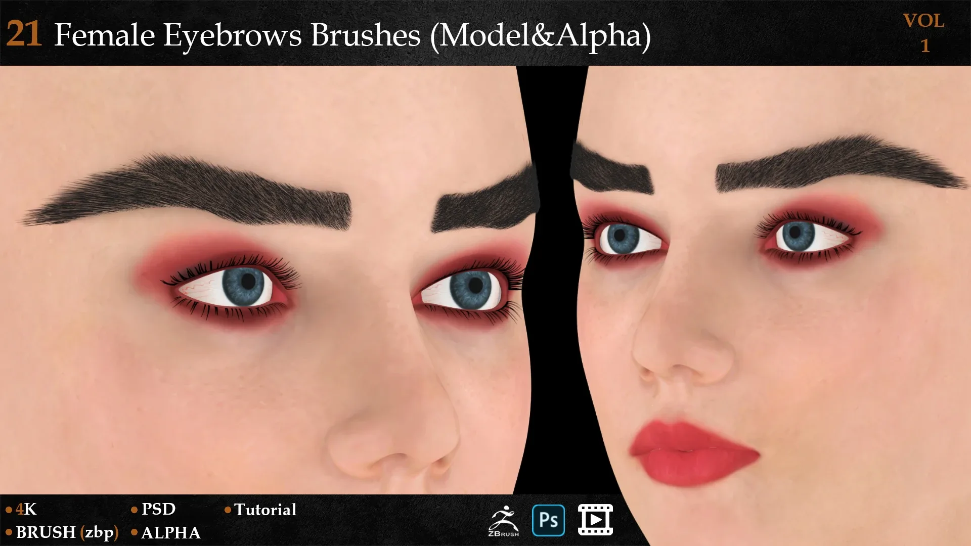 21 Female Eyebrows Brushes (Model&Alpha)-vol 1