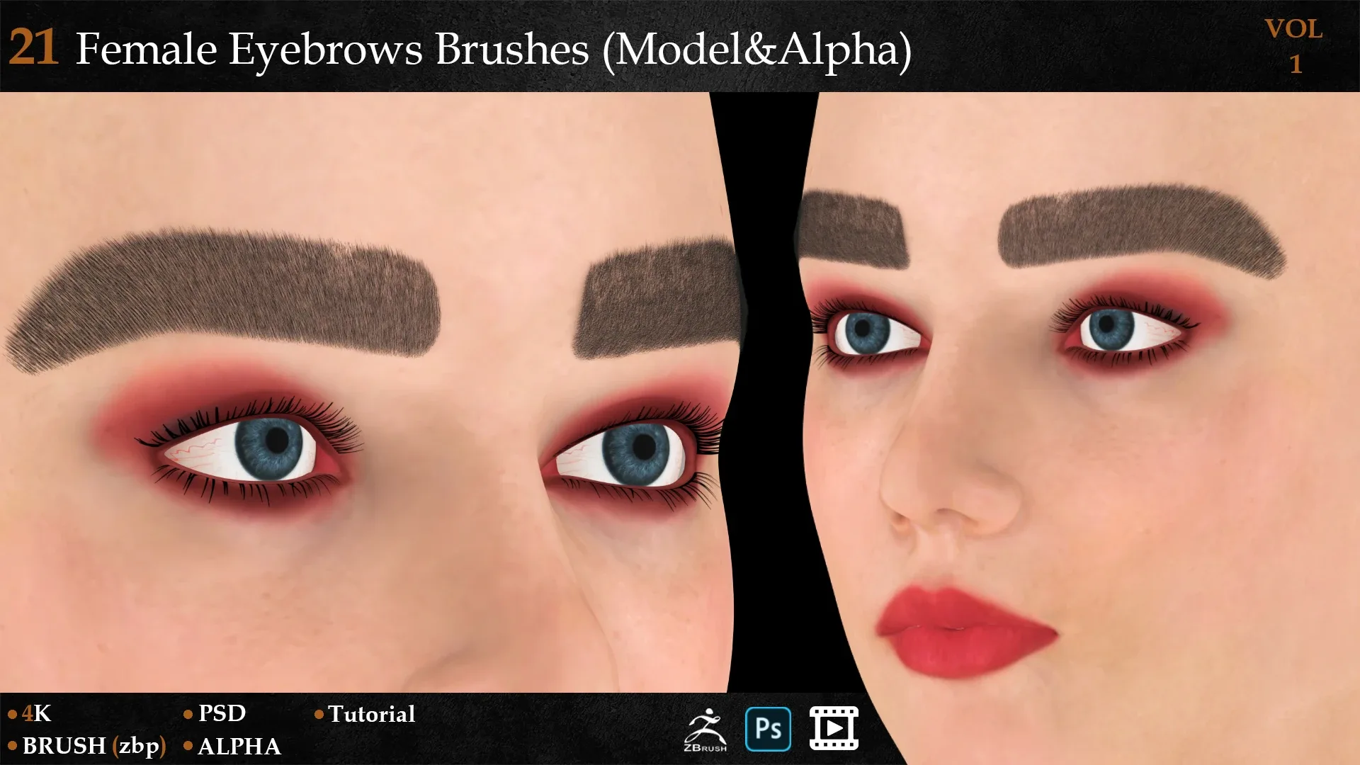 21 Female Eyebrows Brushes (Model&Alpha)-vol 1