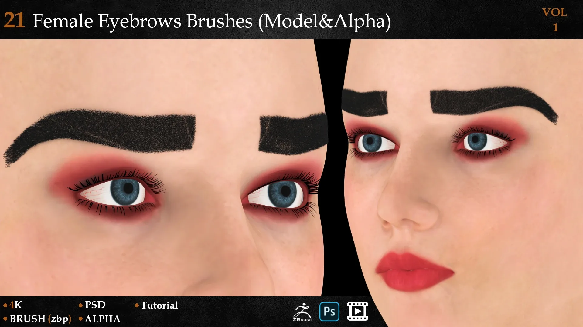 21 Female Eyebrows Brushes (Model&Alpha)-vol 1