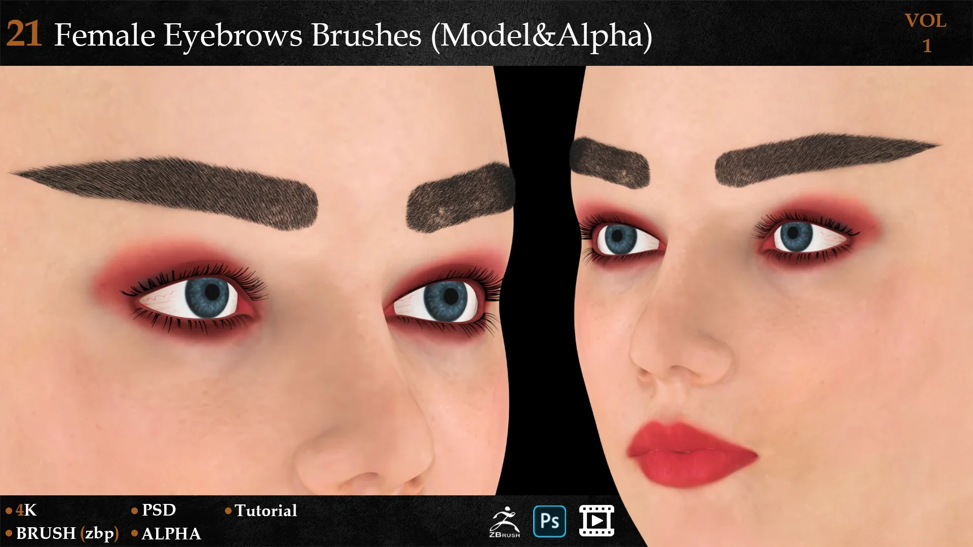 21 Female Eyebrows Brushes (Model&Alpha)-vol 1