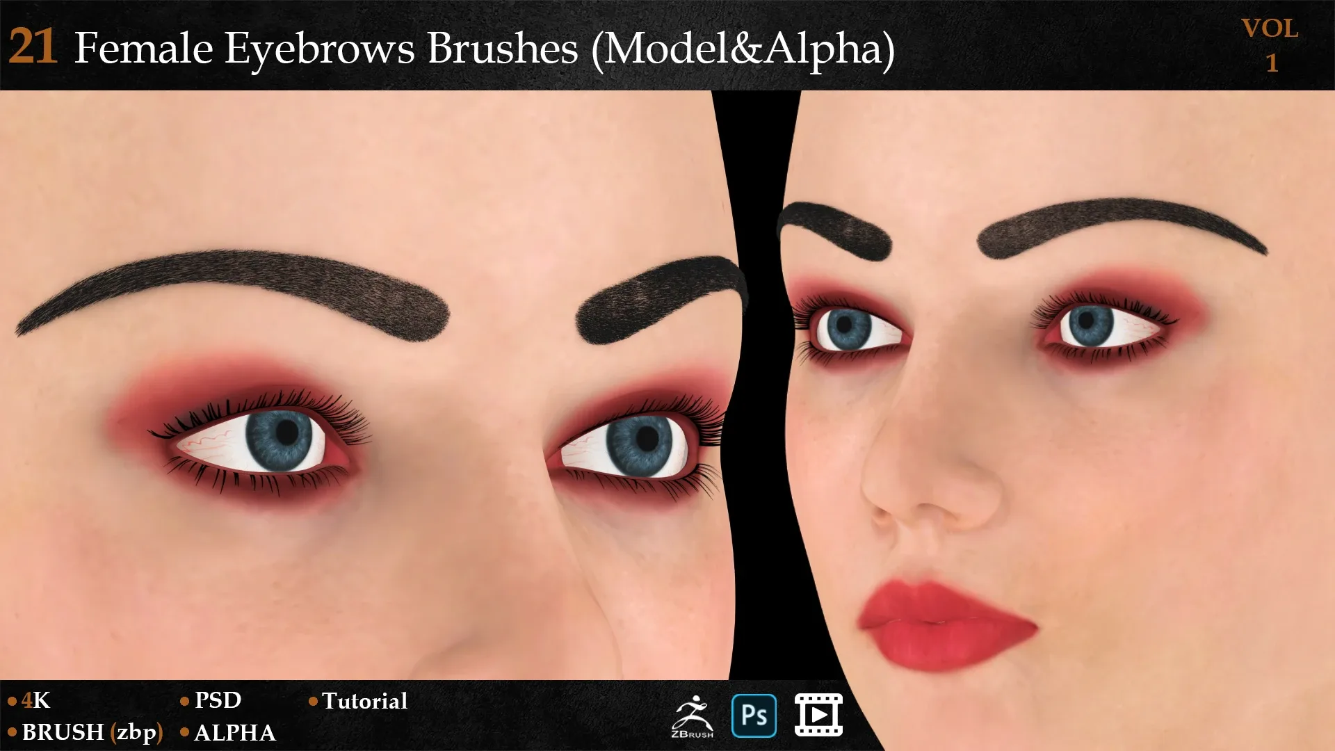 21 Female Eyebrows Brushes (Model&Alpha)-vol 1