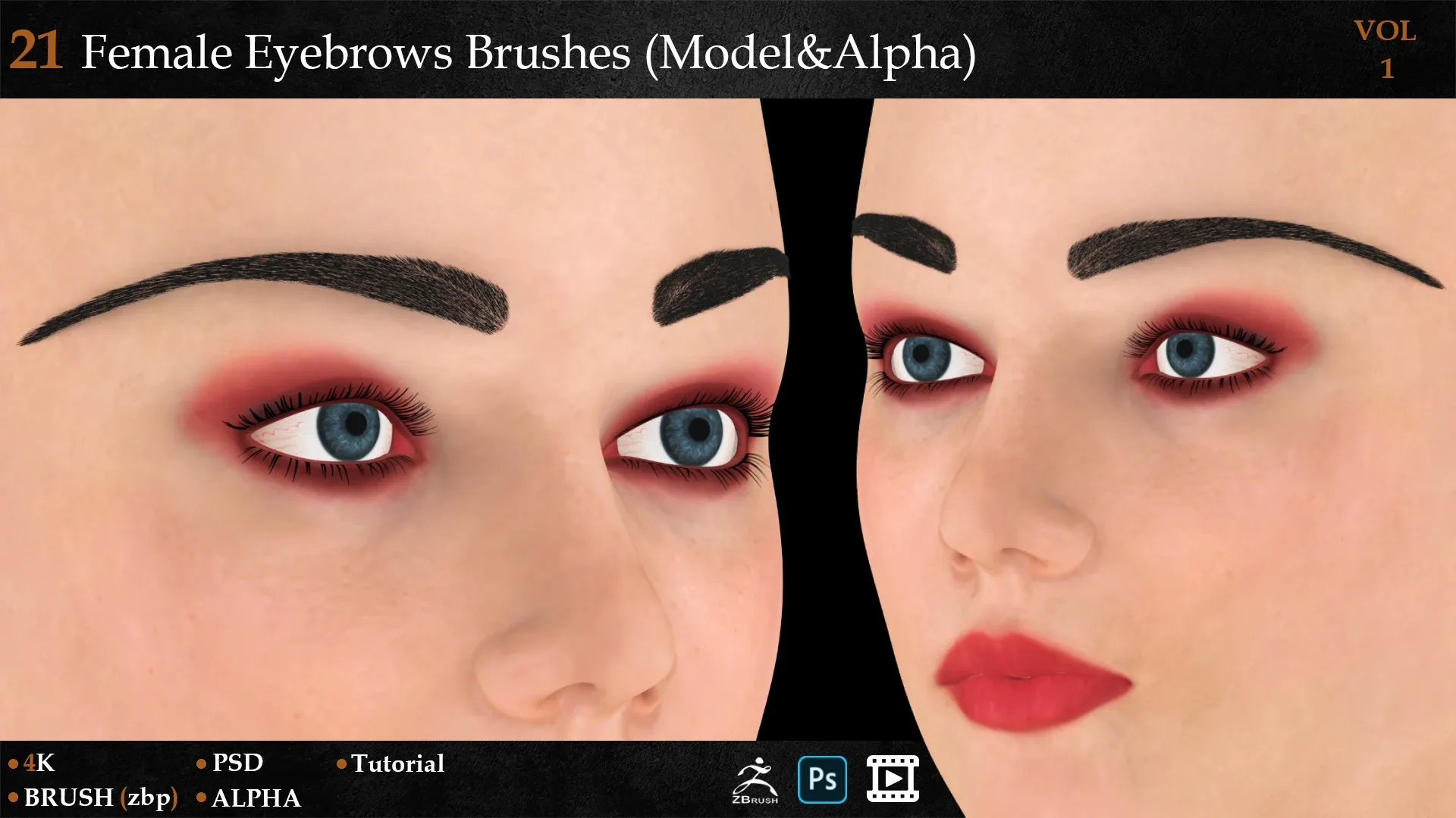 21 Female Eyebrows Brushes (Model&Alpha)-vol 1