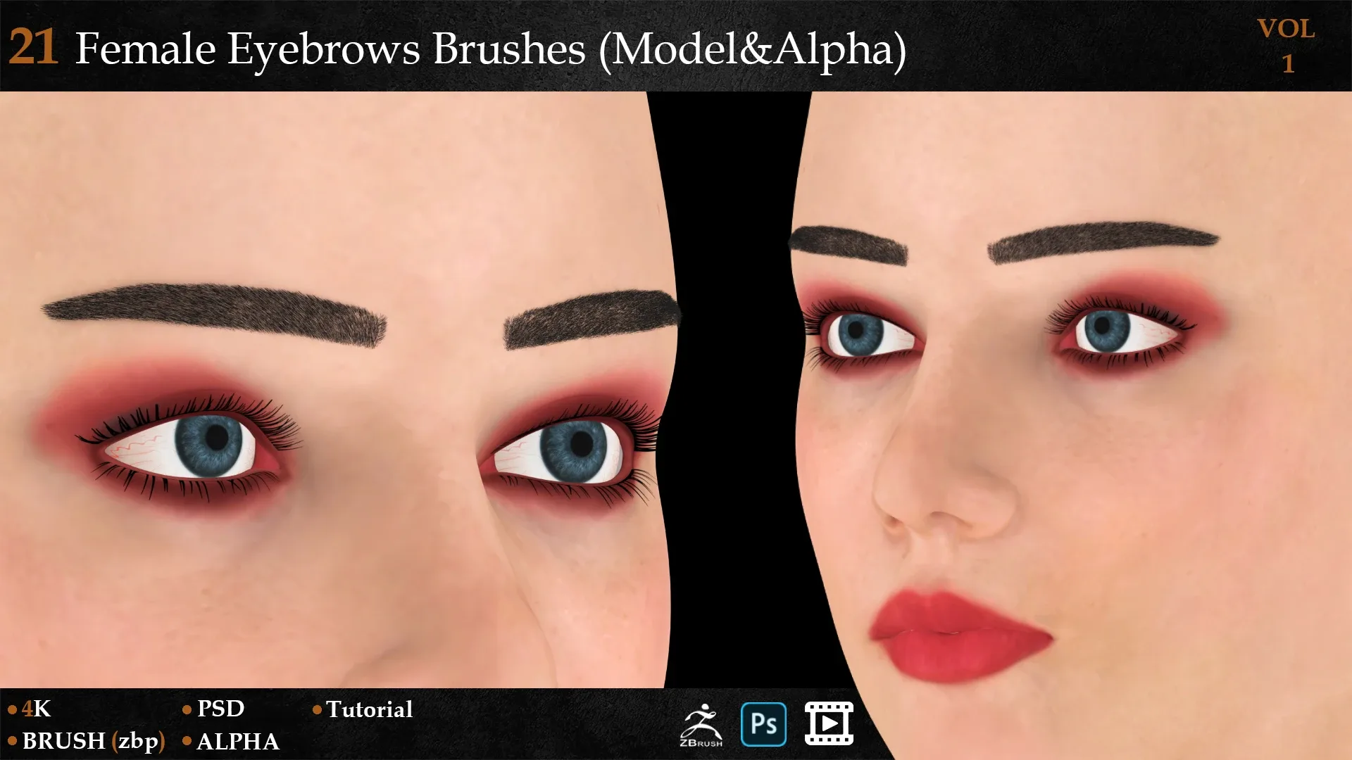 21 Female Eyebrows Brushes (Model&Alpha)-vol 1