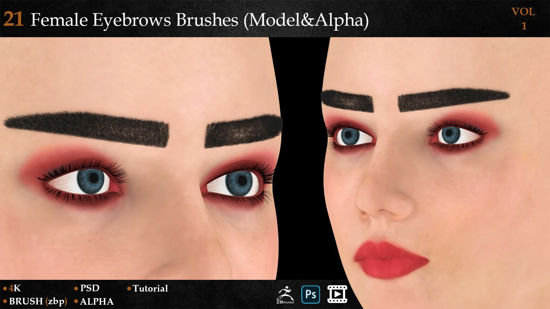 21 Female Eyebrows Brushes (Model&Alpha)-vol 1