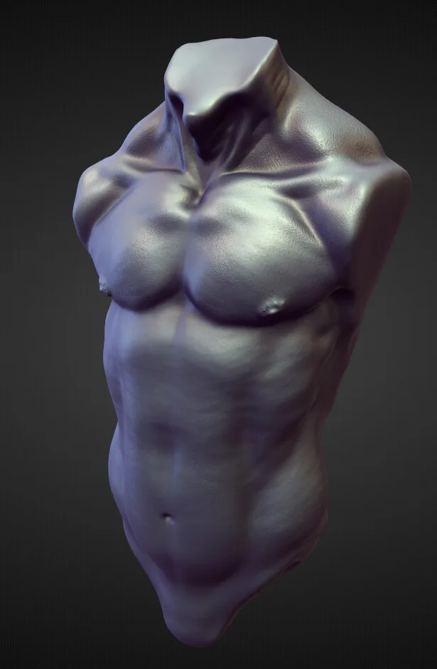 45 TORSOS high poly sculpts pack