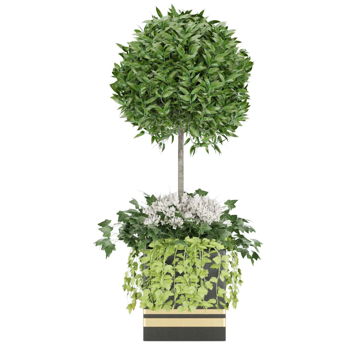 Collection plant vol 31