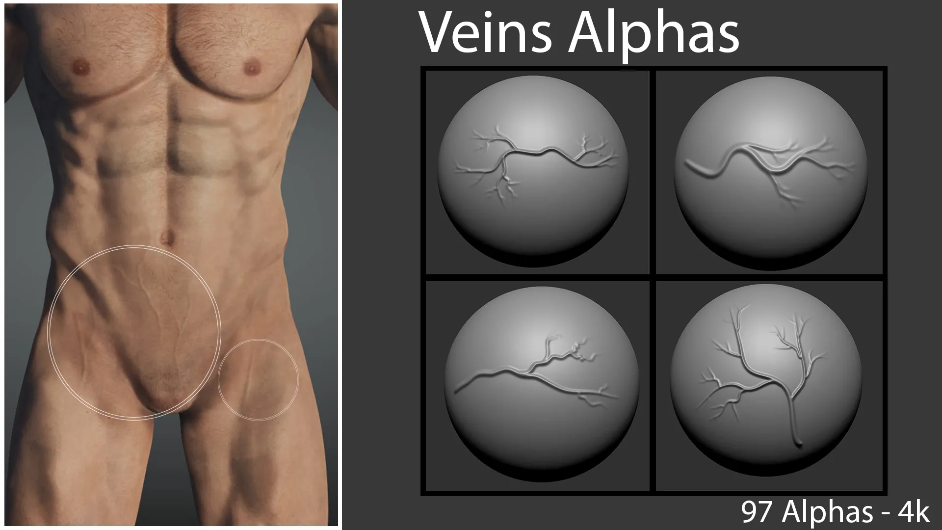 Veins Alphas