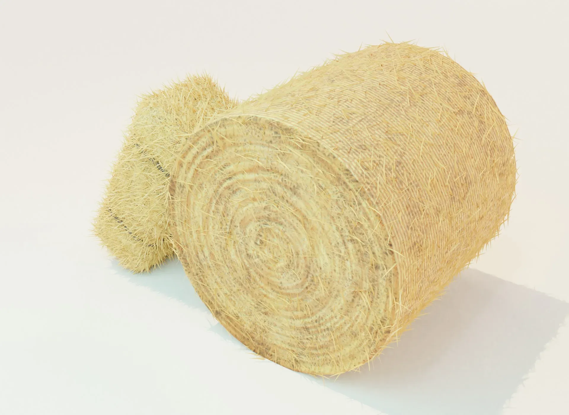 Hay Bale Square and Round 3D Model