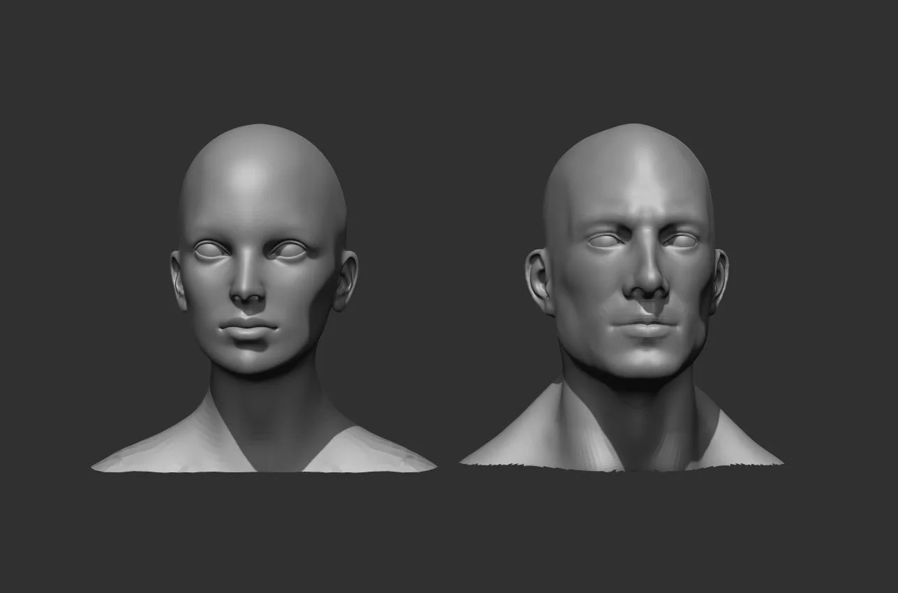 Male and Female Head Realistic Base Mesh 3d Model