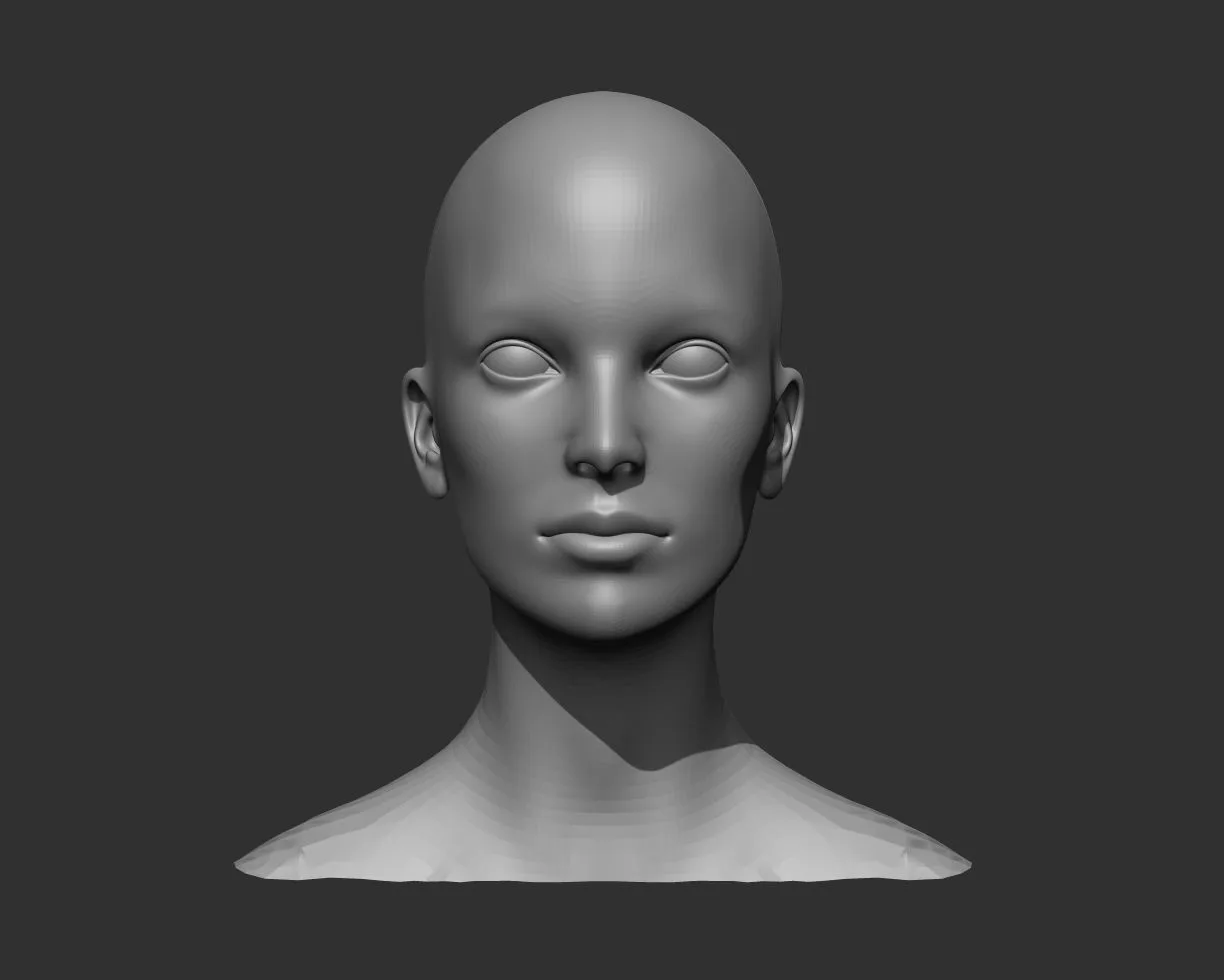 Male and Female Head Realistic Base Mesh 3d Model