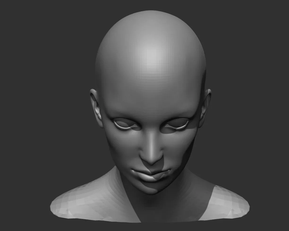 Male and Female Head Realistic Base Mesh 3d Model