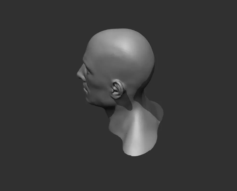 Male and Female Head Realistic Base Mesh 3d Model