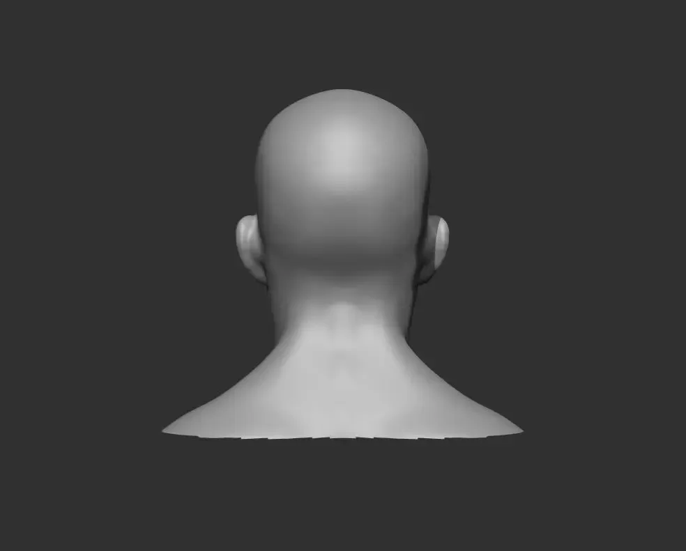 Male and Female Head Realistic Base Mesh 3d Model