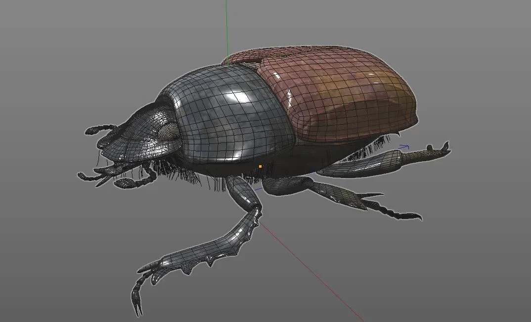 Dung Beetle insect 3d model