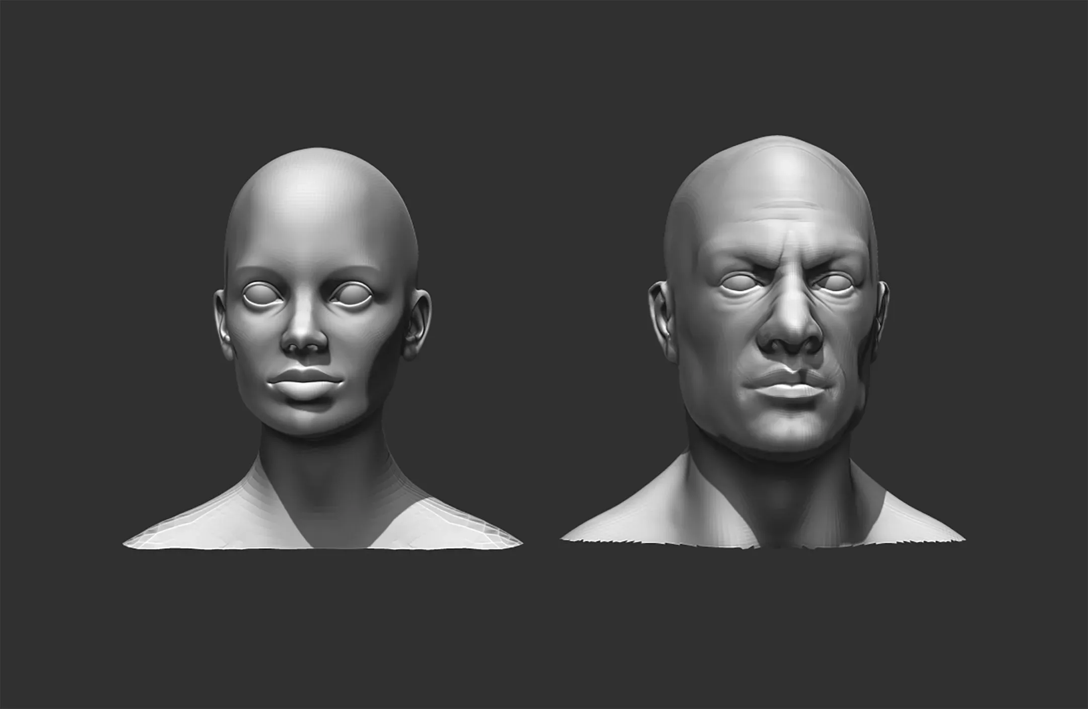 Male and Female Head Realistic Base Mesh #2 3d Model