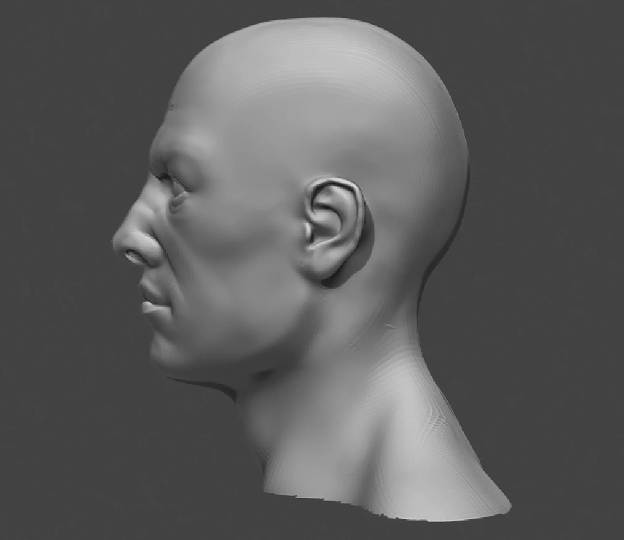 Male and Female Head Realistic Base Mesh #2 3d Model