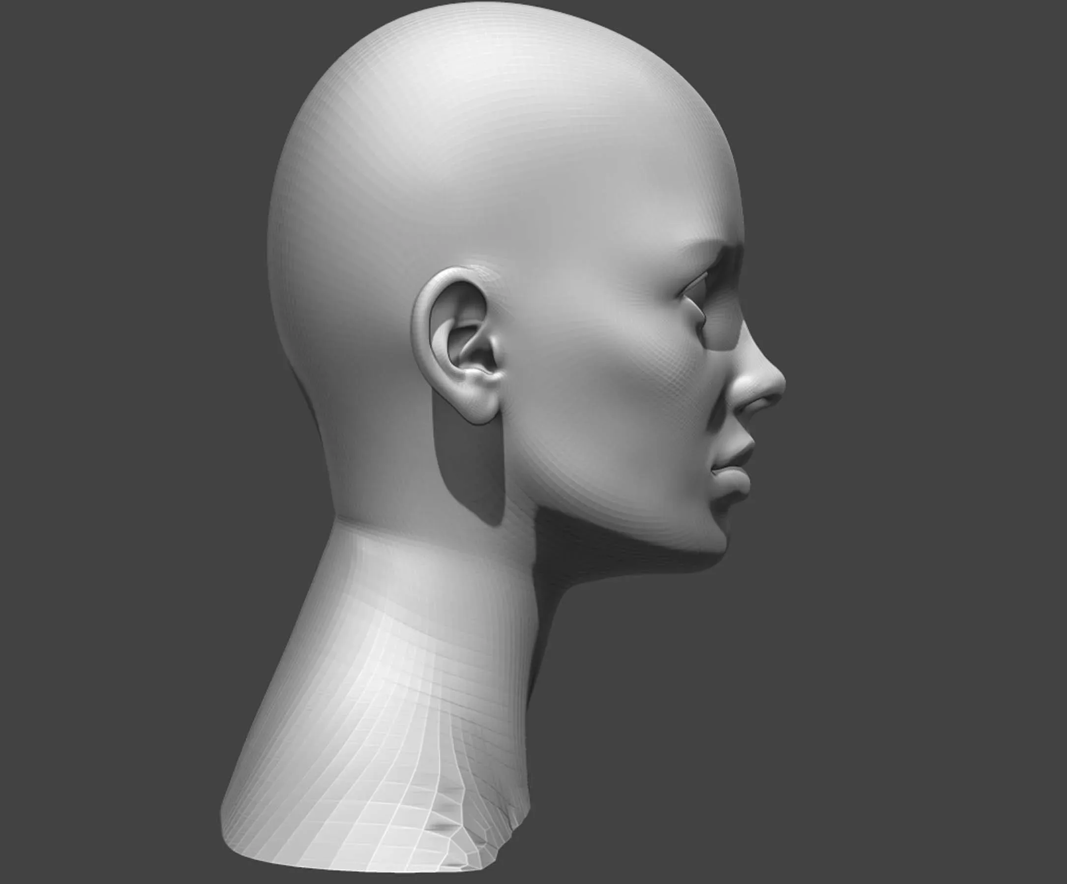 Male and Female Head Realistic Base Mesh #2 3d Model