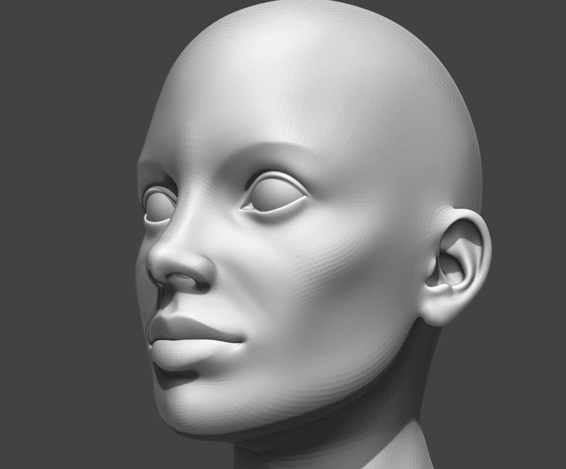 Male and Female Head Realistic Base Mesh #2 3d Model