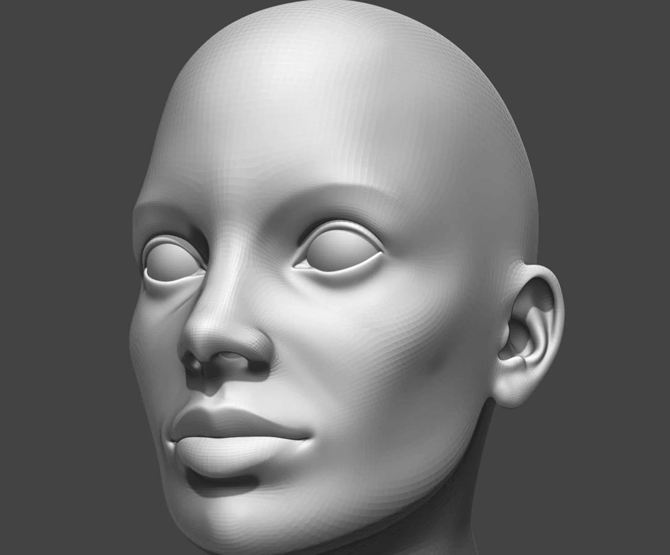 Male and Female Head Realistic Base Mesh #2 3d Model