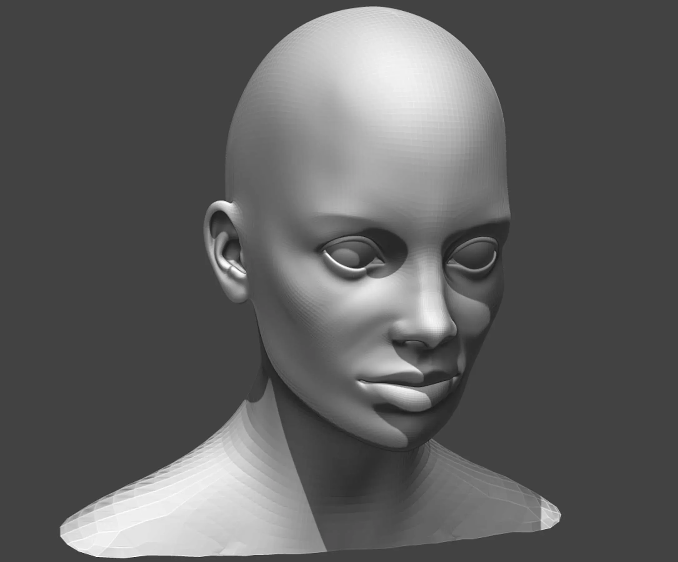 Male and Female Head Realistic Base Mesh #2 3d Model