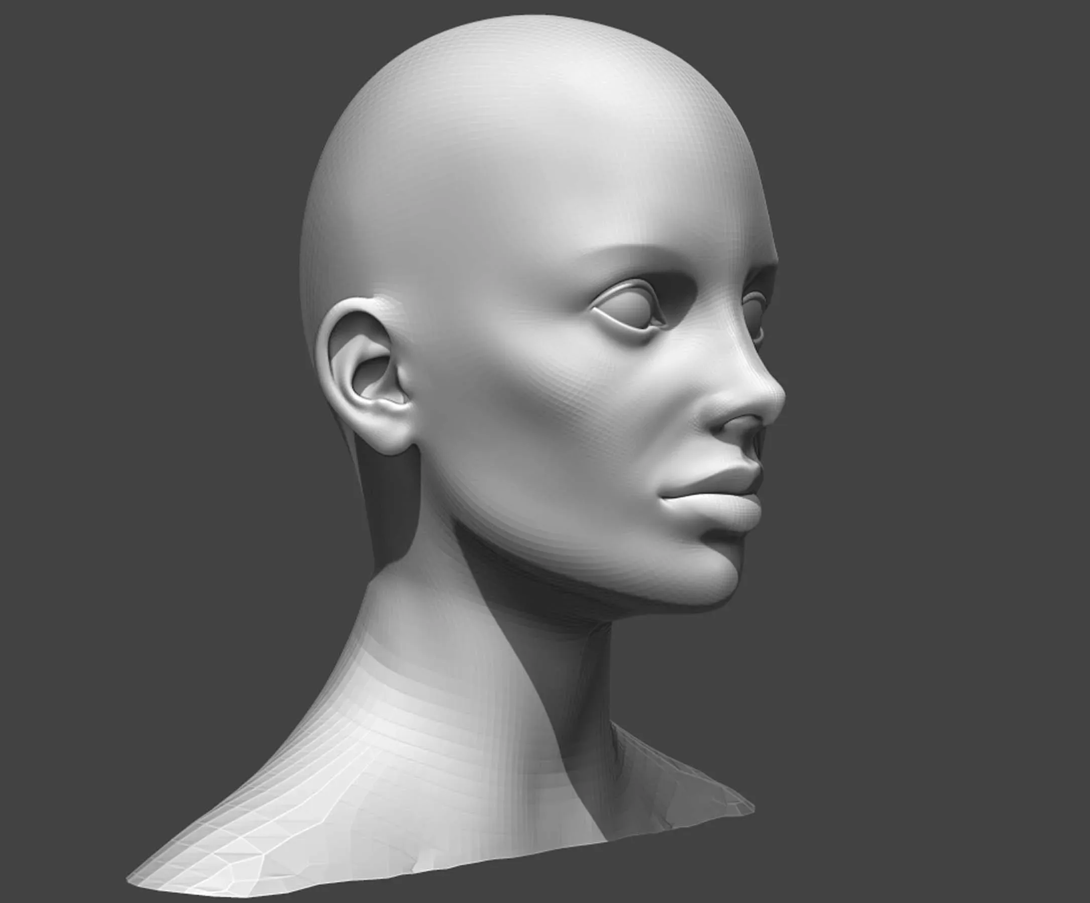 Male and Female Head Realistic Base Mesh #2 3d Model