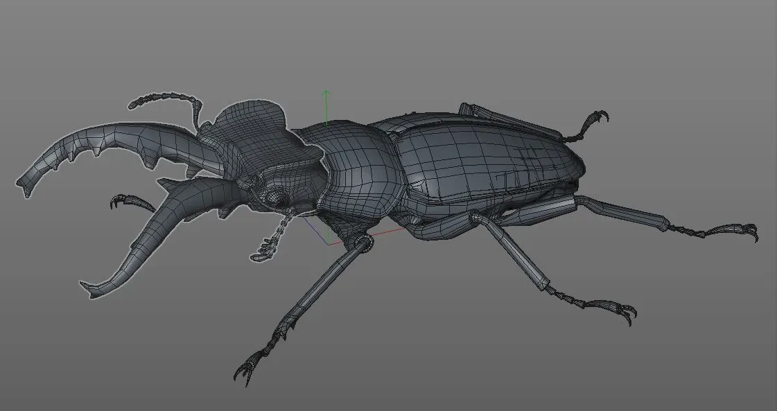 Stag Beetle rigged 3d model