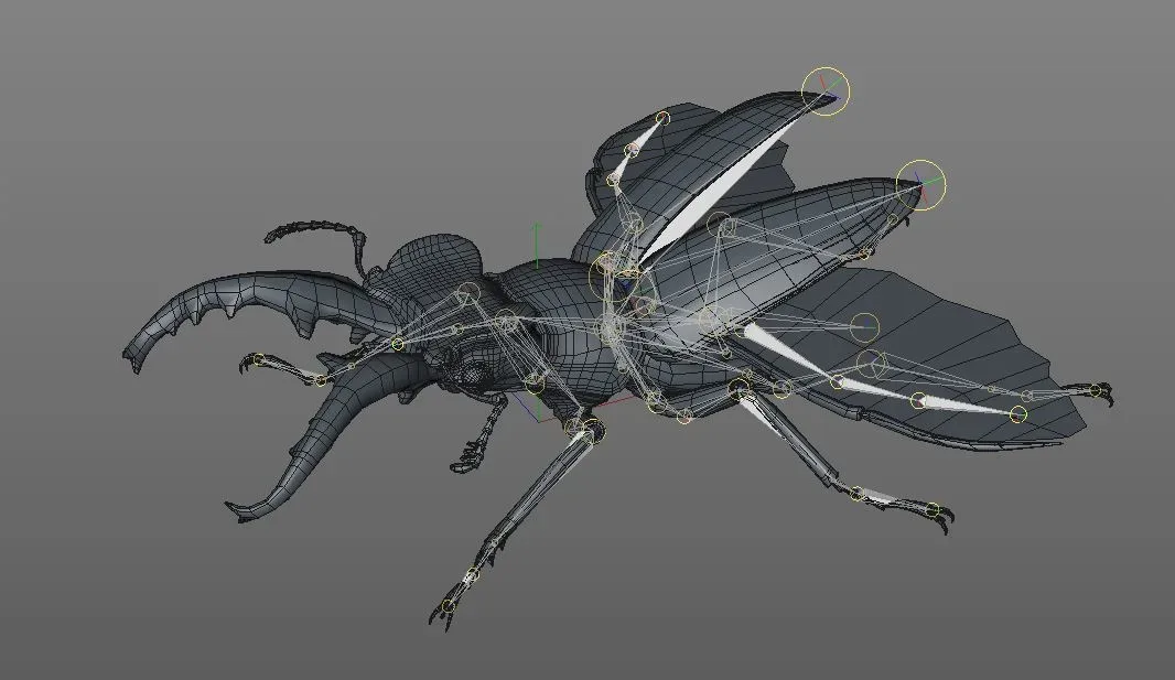 Stag Beetle rigged 3d model