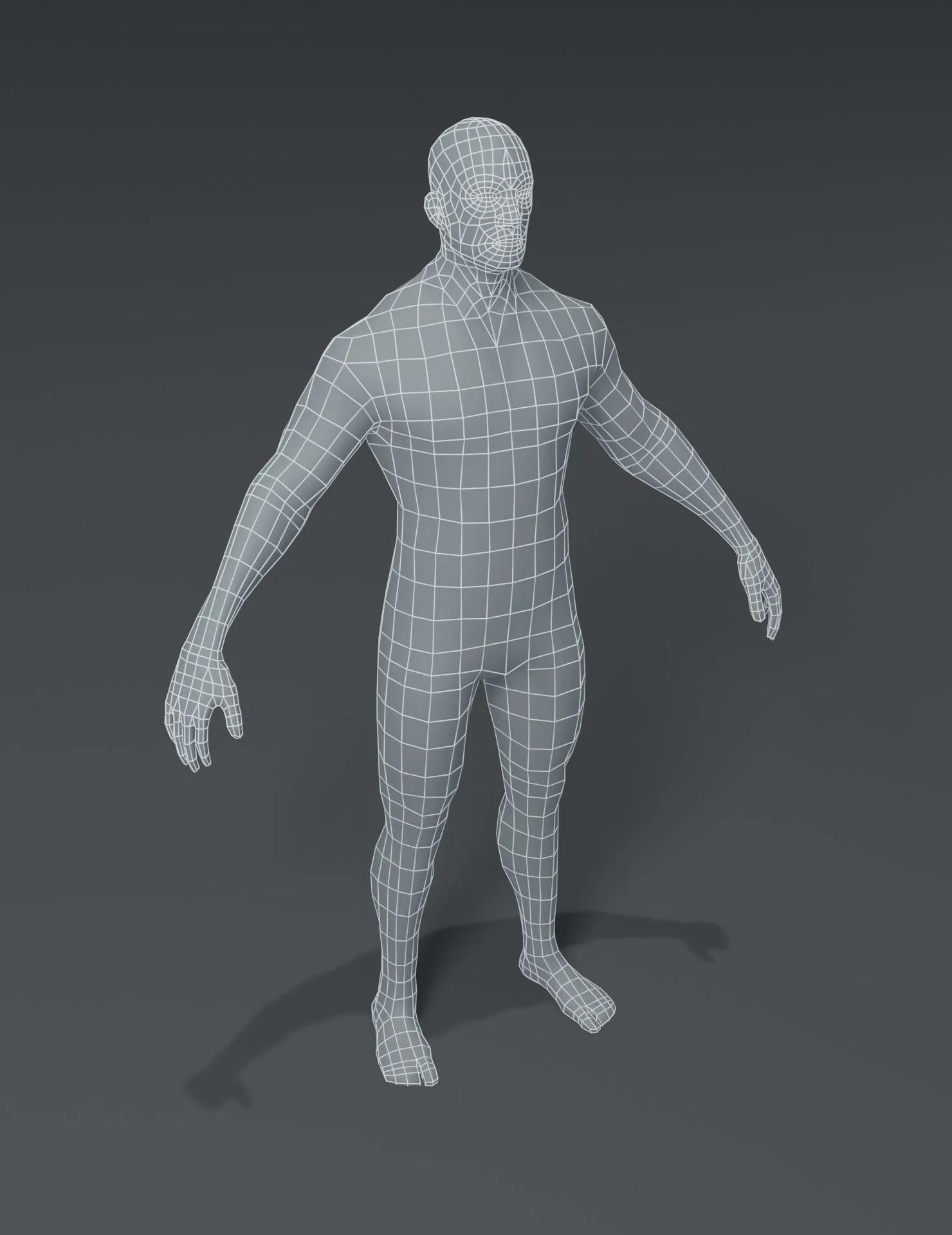 Human Body Base Mesh 10 3D Models Pack