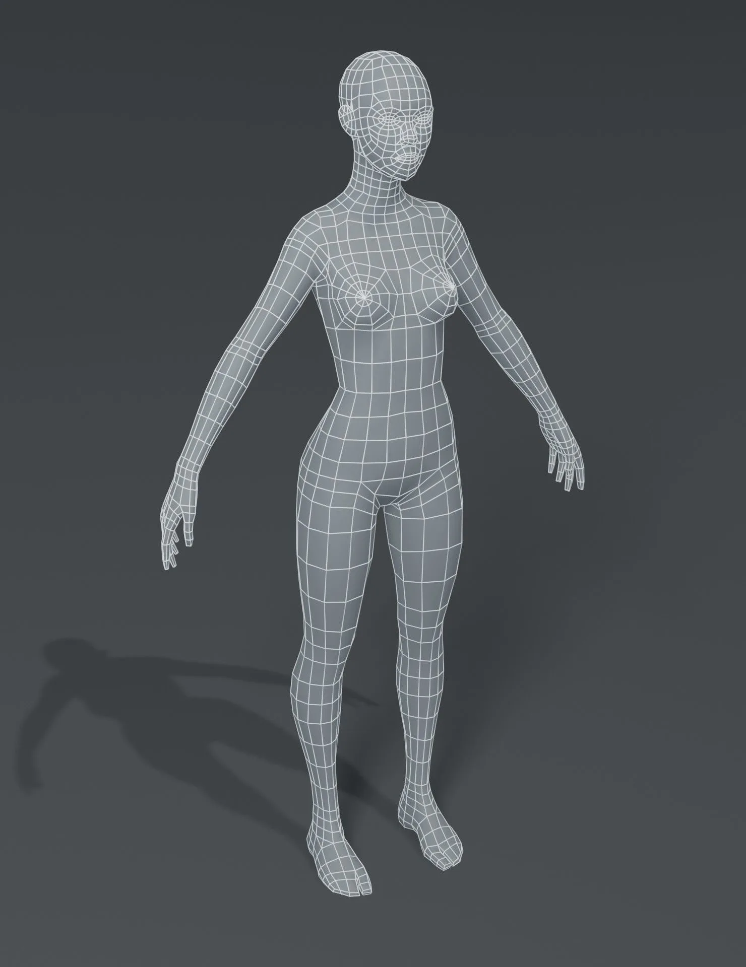 Human Body Base Mesh 10 3D Models Pack