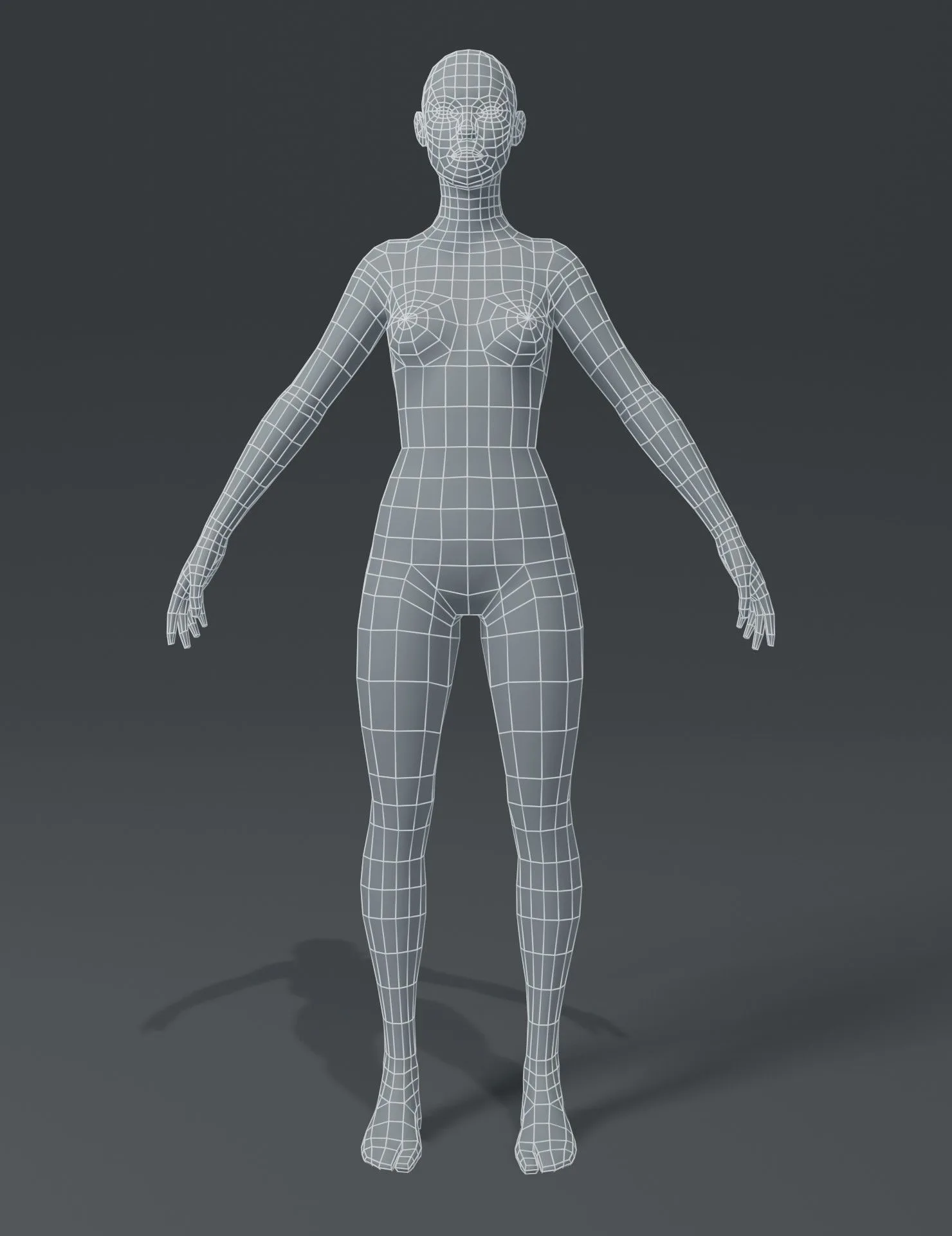 Human Body Base Mesh 10 3D Models Pack