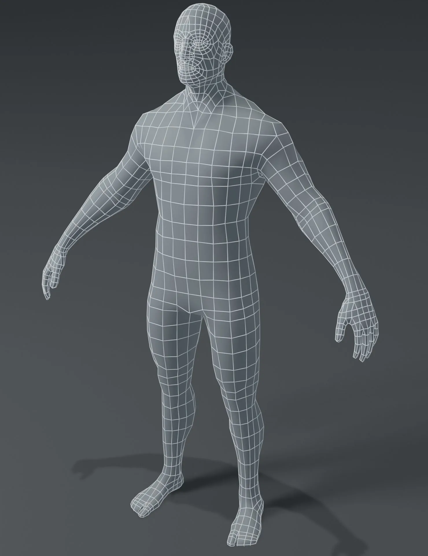 Human Body Base Mesh 10 3D Models Pack