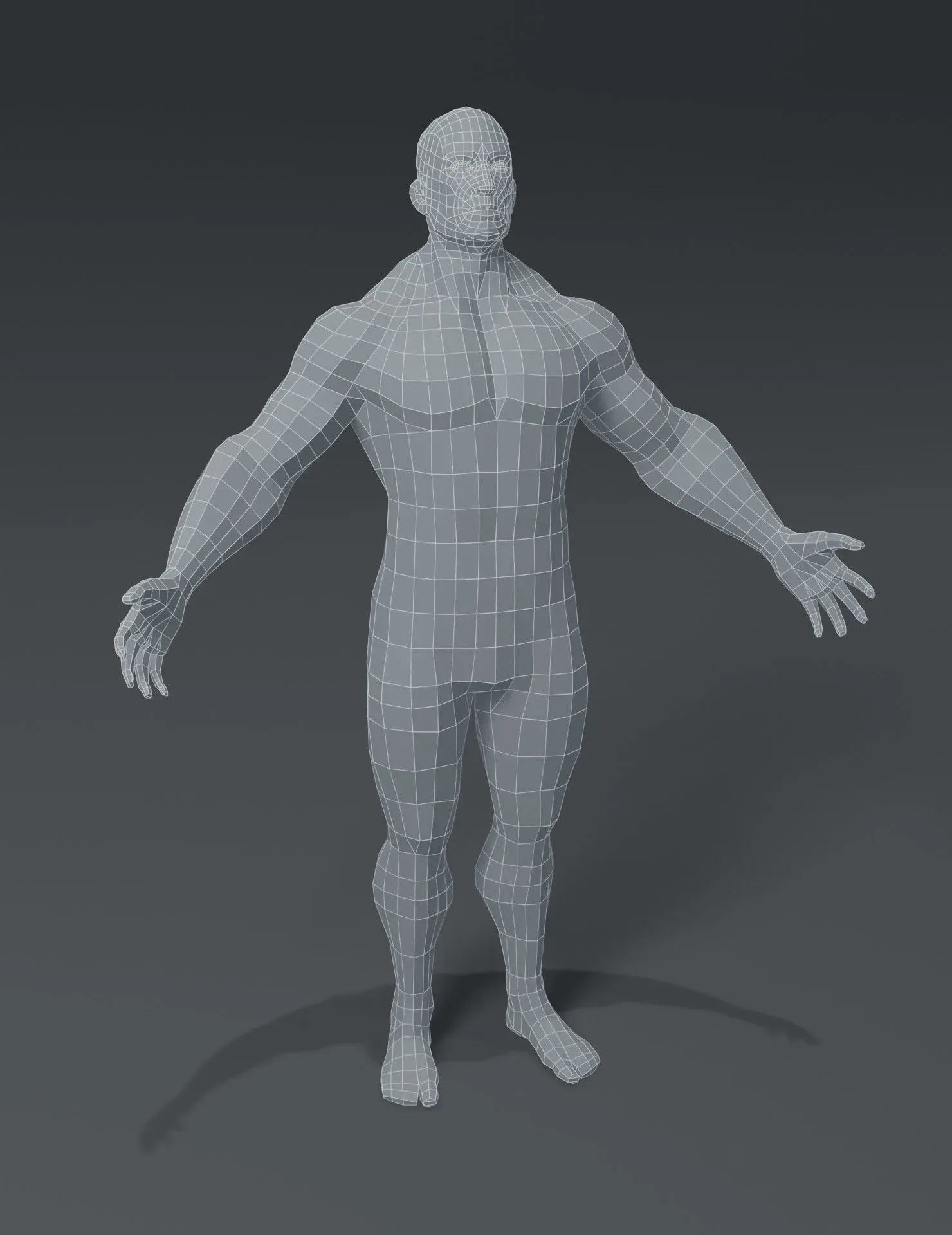 Human Body Base Mesh 10 3D Models Pack