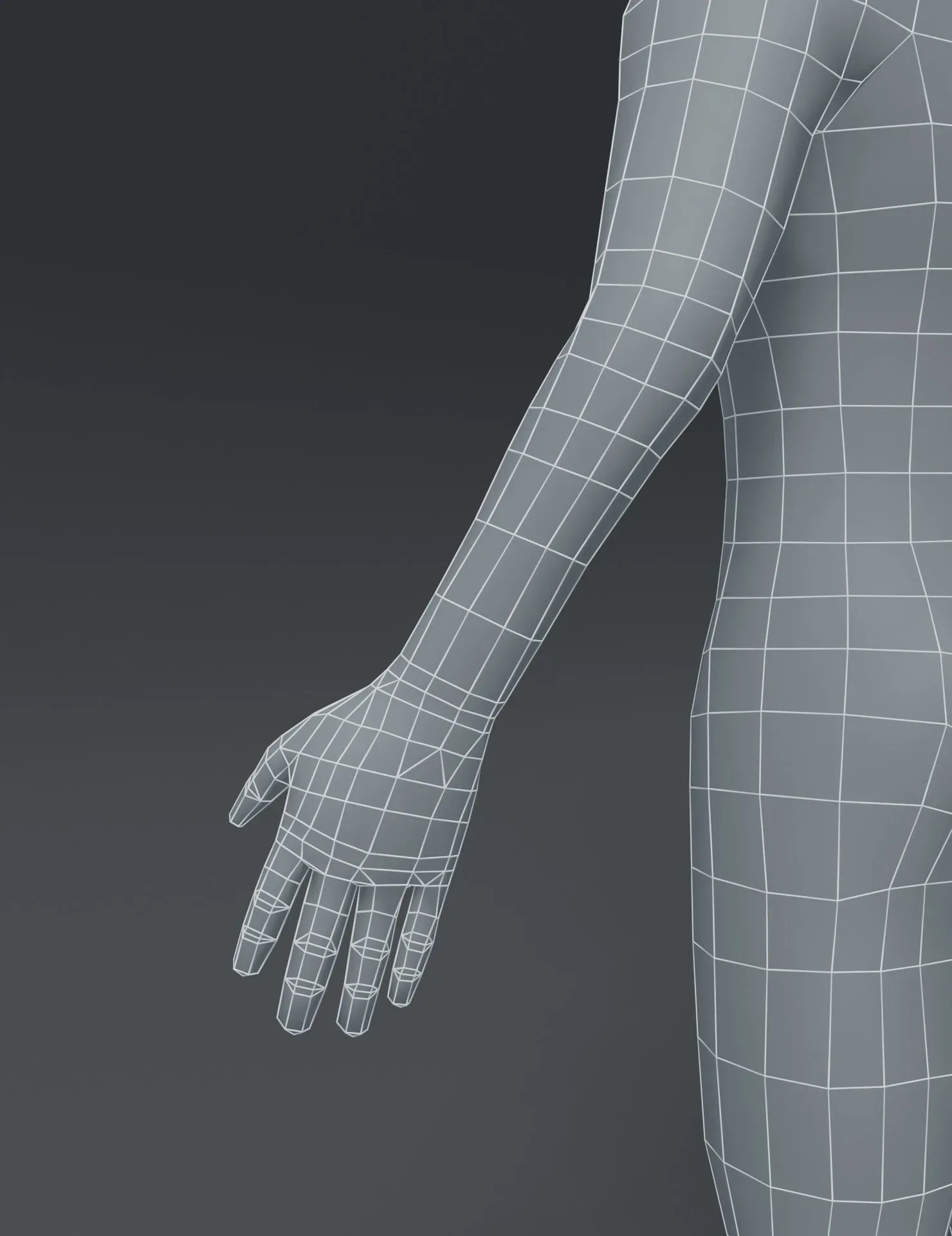 Male Body Cartoon Base Mesh 3D Model