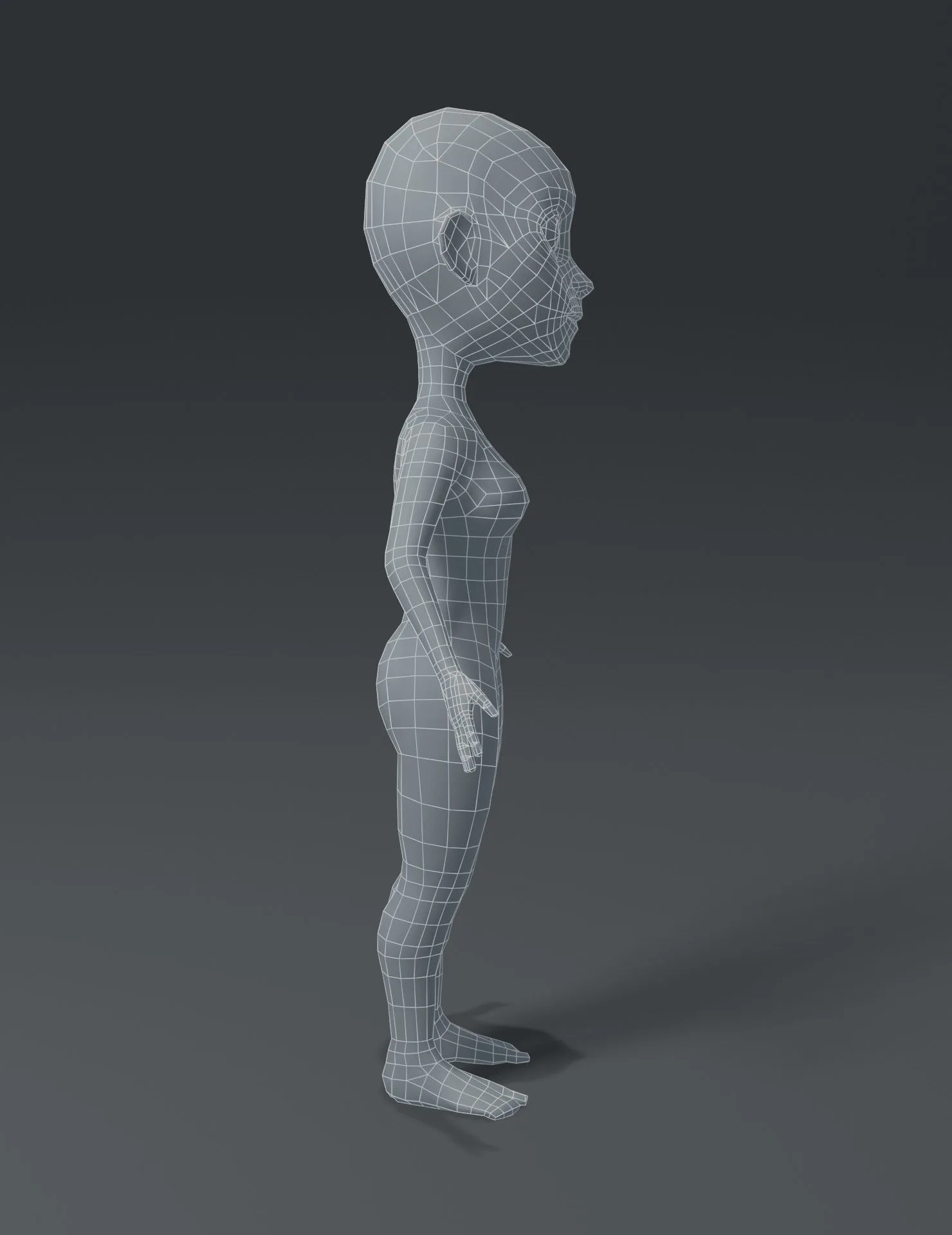 Female Body Cartoon Base Mesh 3D Model