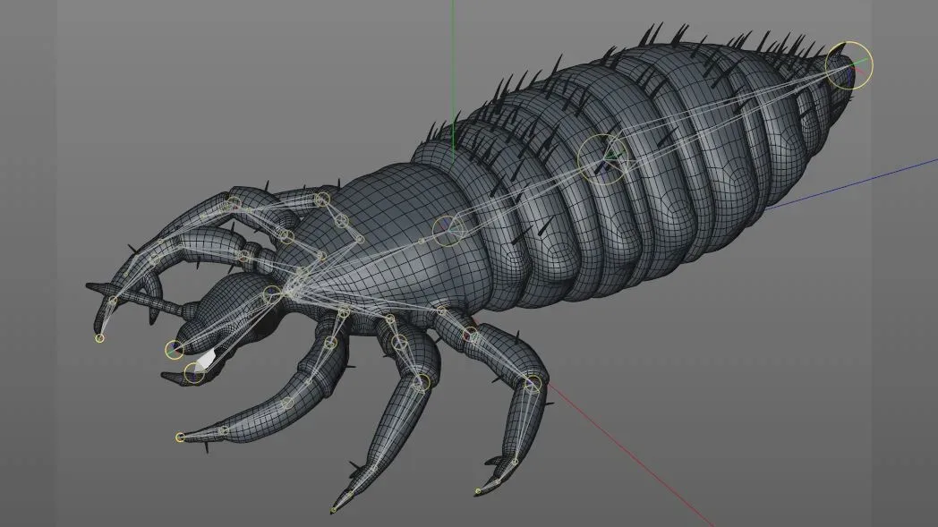 Louse insect rigged 3d model